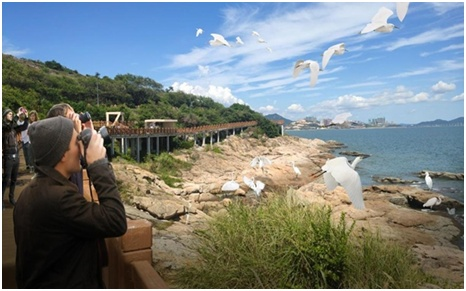 国内外滨河绿道规划设计发展情况